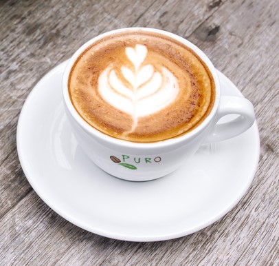 RS2138_Puro coffee_bush